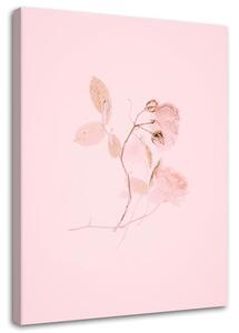 Obraz Minimalistický ružový kvet Veľkosť: 40 x 60 cm, Prevedenie: Obraz na plátne