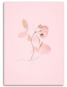 Obraz na plátne Minimalistický ružový kvet Rozmery: 40 x 60 cm