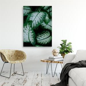 Obraz na plátne Tropické listy biele a zelené Rozmery: 40 x 60 cm