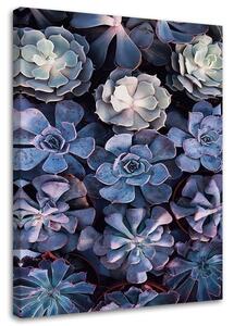 Obraz na plátne Škandinávske kvety Rozmery: 40 x 60 cm