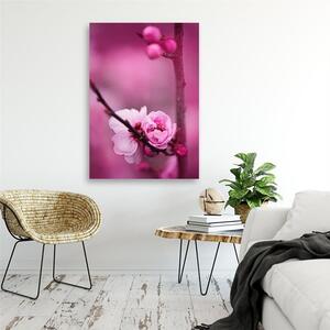 Obraz na plátne Ružový kvet a púčiky na vetve Rozmery: 40 x 60 cm