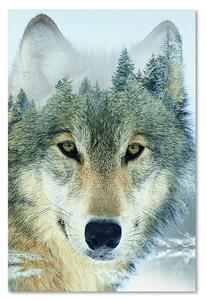 Obraz na plátne Vlk v lese na pozadí Rozmery: 40 x 60 cm