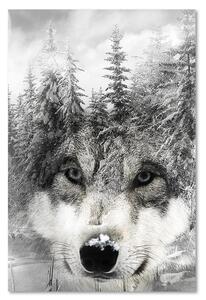 Obraz na plátne Vlk v zimnej scenérii Rozmery: 40 x 60 cm