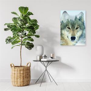 Obraz na plátne Vlk v lese na pozadí Rozmery: 40 x 60 cm