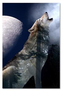 Obraz na plátne Vlk vyje v noci na mesiac Rozmery: 40 x 60 cm