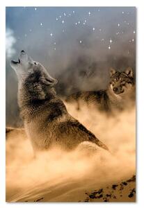 Obraz na plátne Dvaja vlci vyjú v noci na mesiac Rozmery: 40 x 60 cm