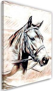 Obraz na plátne Maľovaný kôň Rozmery: 40 x 60 cm