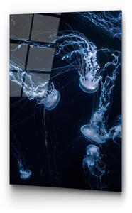 Sklenený obraz 70x100 cm Jelly Fish - Wallity