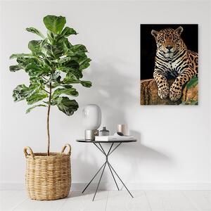 Obraz na plátne Leopard v pokoji Rozmery: 40 x 60 cm