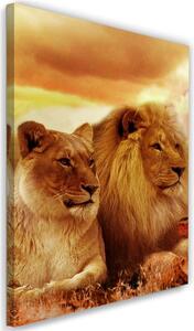 Obraz na plátne Leví kráľ a levice Rozmery: 40 x 60 cm