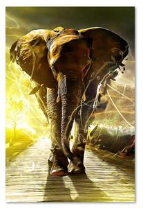 Obraz na plátne Slon na ceste Rozmery: 40 x 60 cm