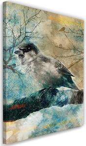 Obraz na plátne Zimný vták Rozmery: 40 x 60 cm