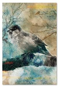 Obraz na plátne Zimný vták Rozmery: 40 x 60 cm