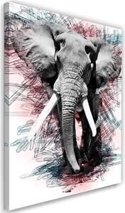 Obraz na plátne Slon na abstraktnom pozadí Rozmery: 40 x 60 cm