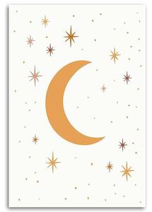 Obraz na plátne Hviezdna noc Rozmery: 40 x 60 cm