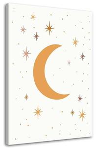 Obraz na plátne Hviezdna noc Rozmery: 40 x 60 cm