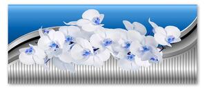 Gario Obraz Biela orchidea na modrom pozadí Veľkosť: 120 x 40 cm, Prevedenie: Panelový obraz