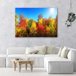 Obraz na plátne Jesenné stromy Rozmery: 60 x 40 cm
