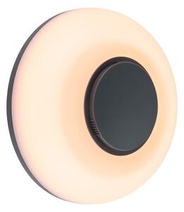 Paulmann 94955 - LED/20,5W IP65 stmievateľné vonkajšie nástenné svietidlo AUREVA 230V