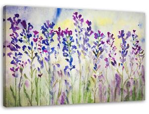 Gario Obraz Fialové kvety na lúke Veľkosť: 100 x 70 cm, Prevedenie: Obraz na plátne