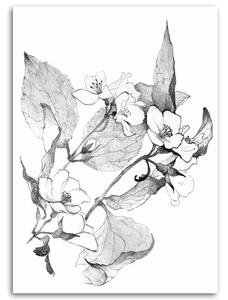 Obraz na plátne Kvitnúce vetvičky Rozmery: 40 x 60 cm