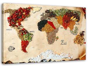 Obraz na plátne Mapa sveta s korením Rozmery: 60 x 40 cm
