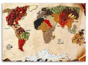 Obraz na plátne Mapa sveta s korením Rozmery: 60 x 40 cm