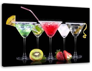 Obraz na plátne Farebné nápoje a ovocie Rozmery: 60 x 40 cm
