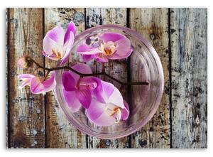 Obraz na plátne Orchidea na pozadí dosiek Rozmery: 60 x 40 cm