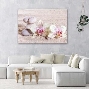 Obraz na plátne Orchidea a kamene na piesku Rozmery: 60 x 40 cm