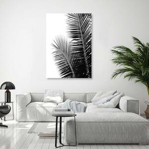 Obraz na plátne Palmové listy Rozmery: 40 x 60 cm