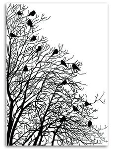 Obraz na plátne Vtáky na vetvách Rozmery: 40 x 60 cm