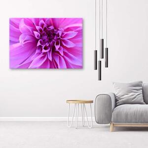 Obraz na plátne Fialový kvet Rozmery: 60 x 40 cm