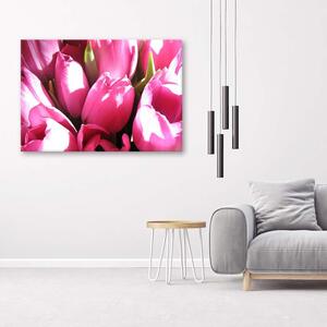 Obraz na plátne Kytica ružových tulipánov Rozmery: 60 x 40 cm