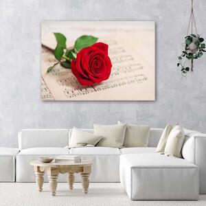 Obraz na plátne Ruža na notách Rozmery: 60 x 40 cm