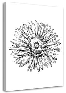 Obraz na plátne Kvetinový náčrt Rozmery: 40 x 60 cm