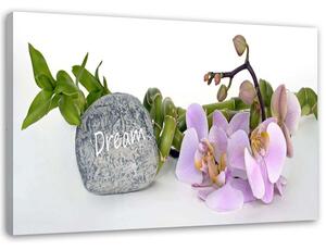 Obraz na plátne Orchidey pri kameni s nápisom sen Rozmery: 60 x 40 cm
