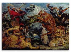 Obraz na plátne Hon na tigra - Peter Paul Rubens, reprodukcia Rozmery: 60 x 40 cm