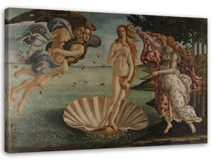 Obraz na plátne Zrodenie Venuše - Sandro Botticelli, reprodukcia Rozmery: 60 x 40 cm