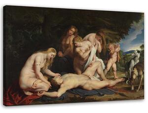 Obraz na plátne Smrť Adonisa - Peter Paul Rubens, reprodukcia Rozmery: 60 x 40 cm