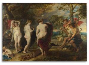 Obraz na plátne Parížsky súd - Peter Paul Rubens, reprodukcia Rozmery: 60 x 40 cm