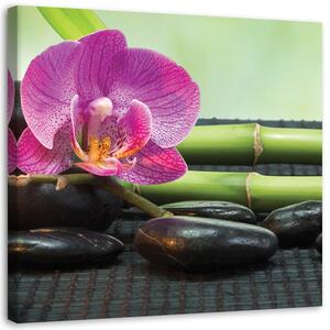 Obraz na plátne Kvitnúce orchidey na čiernych kameňoch Rozmery: 30 x 30 cm