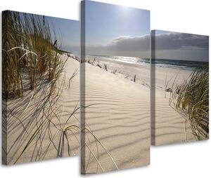 Obraz na plátne Duny na pláži - 3 dielny Rozmery: 60 x 40 cm
