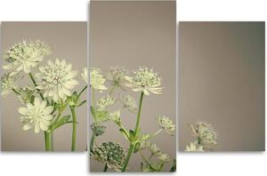 Obraz na plátne Poľné kvety - 3 dielny Rozmery: 60 x 40 cm