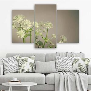 Obraz na plátne Poľné kvety - 3 dielny Rozmery: 60 x 40 cm