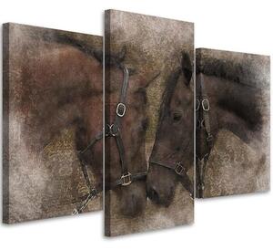 Obraz Dva hnedé kone - 3 dielny Rozmery: 90 x 60 cm, Prevedenie: Obraz na plátne