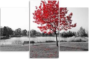 Obraz na plátne Strom s červenými listami - 3 dielny Rozmery: 60 x 40 cm