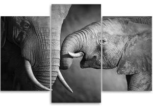 Obraz na plátne Rodina slonov - 3 dielny Rozmery: 60 x 40 cm