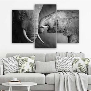 Obraz na plátne Rodina slonov - 3 dielny Rozmery: 60 x 40 cm