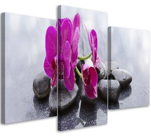Obraz na plátne Orchidea a čierne kamene - 3 dielny Rozmery: 60 x 40 cm